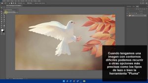 Cómo Quitar Fondo en Photoshop 2022 ✔️