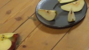 дегустация  груши  добрянка