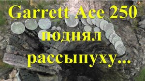 Garrett Ace 250 поднял рассыпуху медных монет!