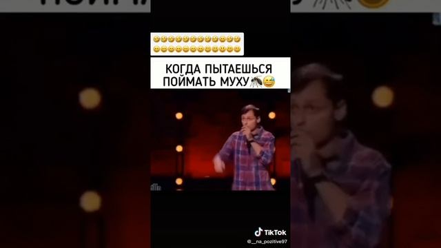 Как поймать муху?