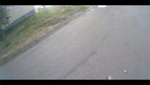 Мопед на который не нужны права