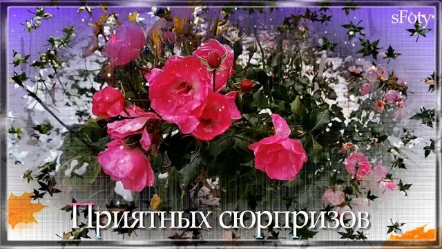 Доброго, чудесного дня! И пусть все будет хорошо!