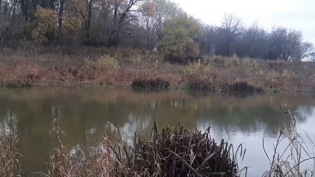 ОКТЯБРЬСКИЙ КАРАСЬ НА БОБРИНОМ ОЗЕРЕ!!! смотреть онлайн