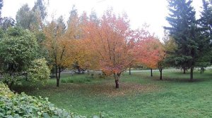 Новосибирск.  Парад осени.Novosibirsk. Parade of autumn.Видео про Новосибирск.