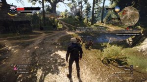 The Witcher 3 , песня детей, про "Господина Зеркало".