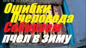 Секреты 100 % зимовки пчел. Медовик рекордистка-осталась рамка пчелы.Сжимаю пчел в зиму до "ПИСКА".