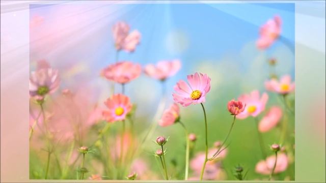 Reiki Timer 2 Min - Relaxing Music with 26 X 2 Minute Tibetan Bells - YIN YOGA TIMER смотреть онлайн