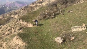 Зубанчи Дагестан