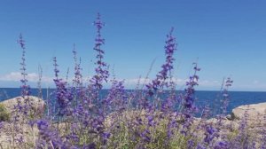 Мирей Матье / Mireille Mathieu - "Ciao bambino, sorry" (1976)