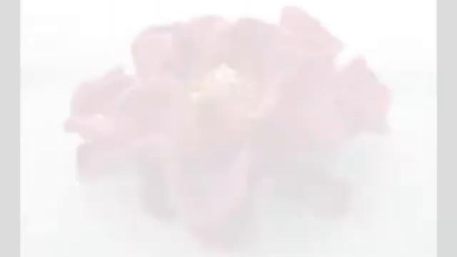 малиновое утро.wmv
