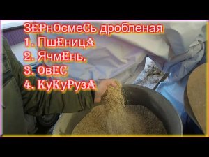 Зерносмесь дробленая пшеница, ячмень, овес,кукуруза