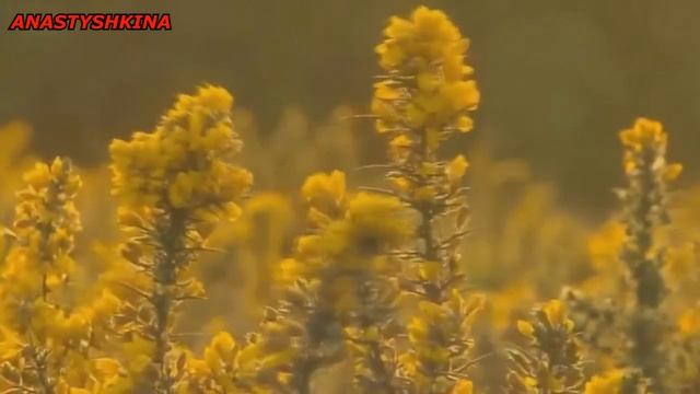 5 ВЕЩЕЙ КОТОРЫЕ НЕЛЬЗЯ ДЕЛАТЬ ПО МНЕНИЮ ПСИХОЛОГА !!! смотреть онлайн