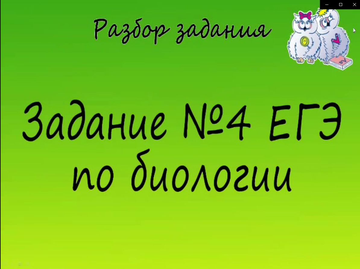 Биология. Разбор 4 заданий ЕГЭ по биологии