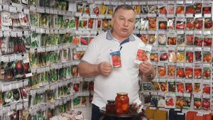 На что важно обращать внимание при выборе семян
