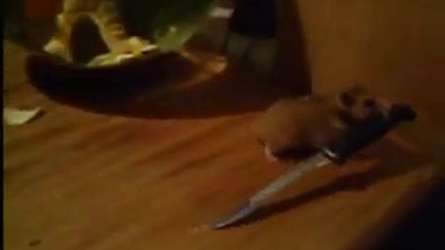 Хомяк с ножом - Hamster with a knife смотреть онлайн