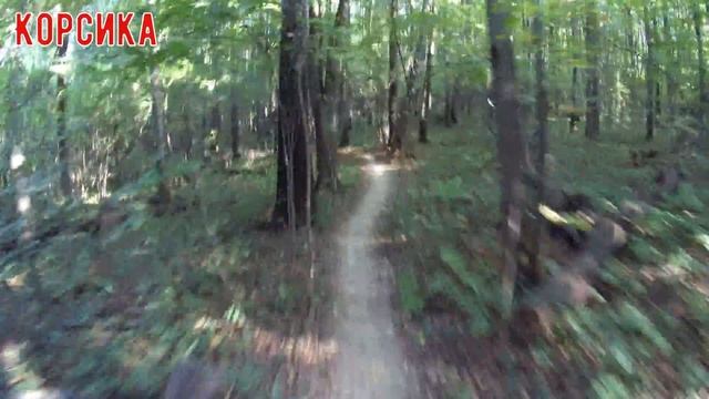 Чесс Парк смотреть онлайн