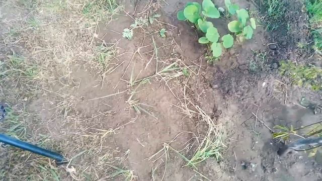 Замена тросика сцепления и регулировка троса сцепления на питбайке
