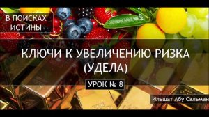 8. Ильшат Абу Сальман: Причины увеличения удела (ризка) человека