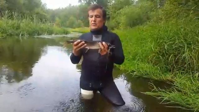 Ищем рыбу в реке. смотреть онлайн