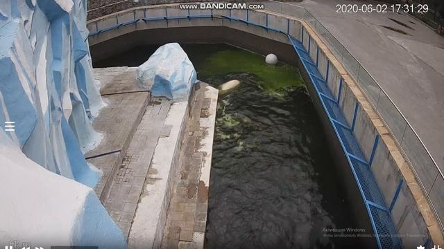 Как же мне не нравится плавать в такой воде! 02.06.2020 смотреть онлайн
