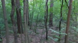 РИТУАЛ ВЕРНУТЬ ЗЛО НАЗАД. ДЛЯ ВСЕХ. ВЕДЬМИНА ИЗБА ИНГА ХОСРОЕВА