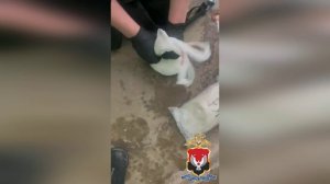 В Удмуртии полицейские изъяли почти 1,5 кг синтетических наркотиков у оптового закладчика