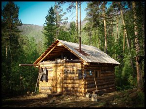 Случай в тайге - один в бесконечных таёжных далях.