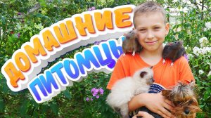 ? Мои домашние питомцы ? ? ?