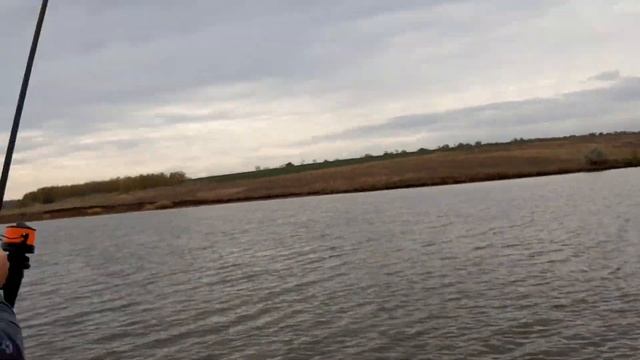 ЛОВЛЯ ТРОФЕЙНЫХ КАРПОВ - Закрытие Сезона Карпфишинга в октябре - водоем 