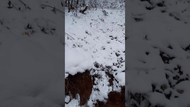 Приехал на родник набрать воды. 25.11.2023 смотреть онлайн