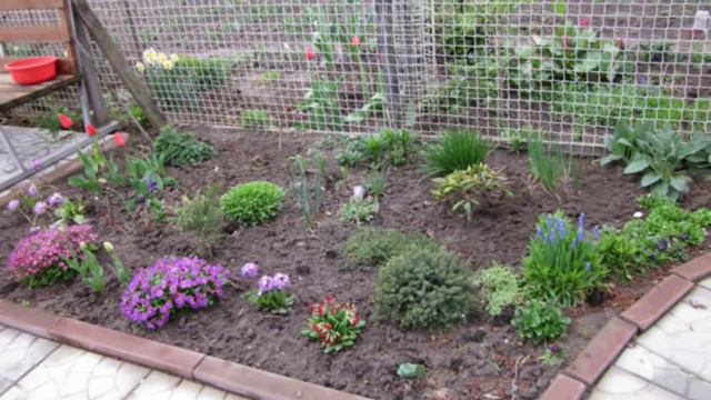 ФЛОРА ВАЛЮШКЕ смотреть онлайн