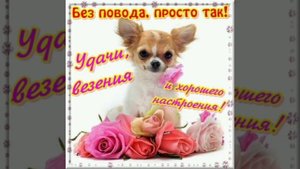 ? Тебе от меня большой приветик! Просто так, без повода, но от души!