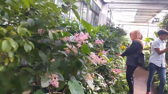 JEJU CAMELLIA PARK смотреть онлайн