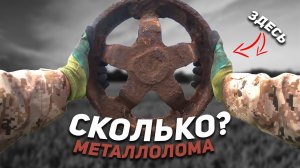СКОЛЬКО МЕТАЛЛА МОЖНО НАКОПАТЬ НА КРАЮ СЕЛА? МЕТАЛЛОКОП С MT 705