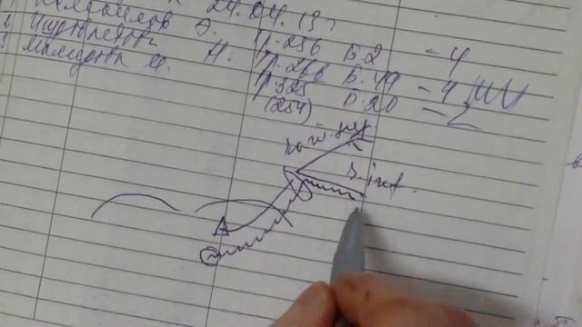 Периферический отдел нервной системы. Анимальные.
