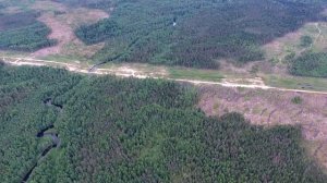 Река Вьюн. В Ленинградской области.