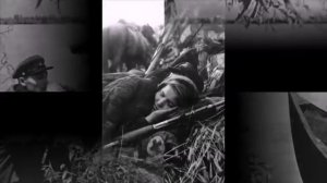 Катюша - Песни военных лет - Лучшие фото - Расцветали яблони и груши