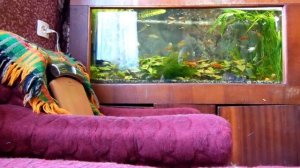 Проверка камеры на работоспособность