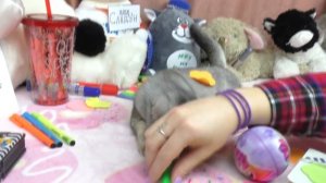 ПАСПОРТ КОТЁНКУ СЛАДУНУ СВОИМИ РУКАМИ | ВИДЕО ДЛЯ ДЕТЕЙ