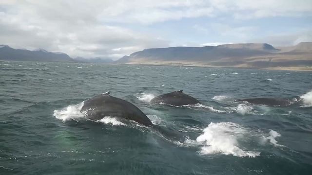 Destroy Unconscious Blockages and Negativity, 396hz Solfeggio, Positive energy, Meditation Music смотреть онлайн