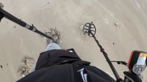 Beach Hunting with Quest V80 Metal Detector