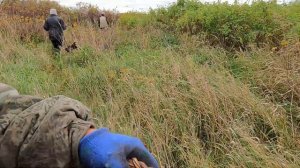 Дела деревенские, Жизнь в Костромской глубинке, Приехали внуки