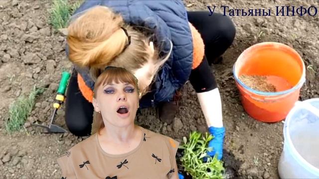 Какие и когда ЦВЕТЫ пересаживать ЛЕТОМ в САДУ?!
