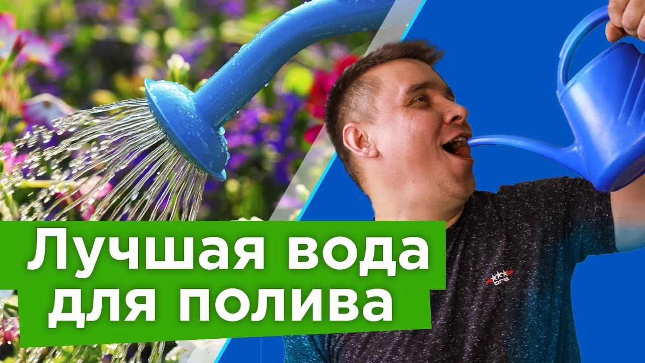 ТАЛАЯ, ВОДОПРОВОДНАЯ ИЛИ РОДНИКОВАЯ - какая вода самая полезная для растений? Разбираемся с биологом