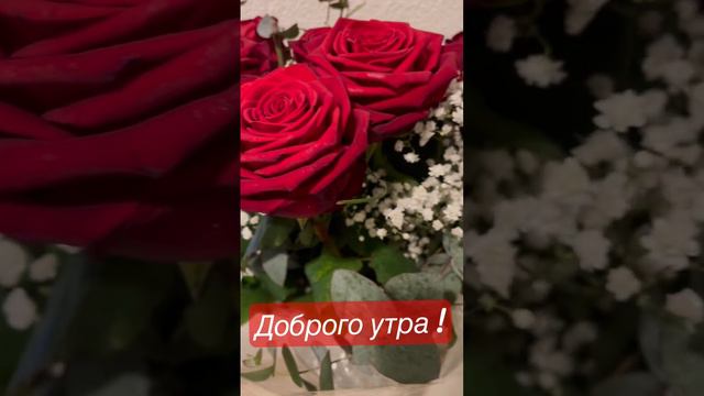 Я подарю тебе цветы 🌹🌹🌹 Я брошу мир к твоим ногам 🌹 поздравительная открытка