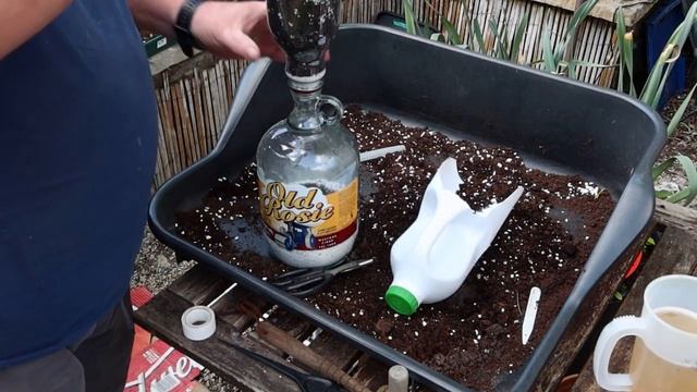 Sowing Bill & Val's Pongo Beans - A Lettuce in a Bottle - A Sneak Peak into the Future смотреть онлайн