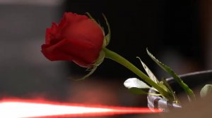 Юрий Шатунов - Грезы (DJ Karabas disco remix)