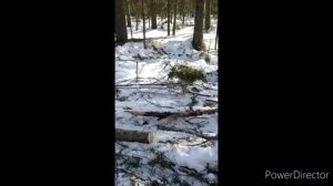 Минитрактор переломка 4×4 с кузовом как у Т-16 работает на лесоповале.