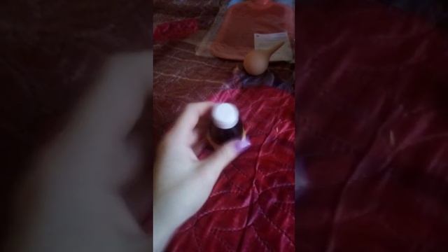 Что нужно для родов собаки смотреть онлайн