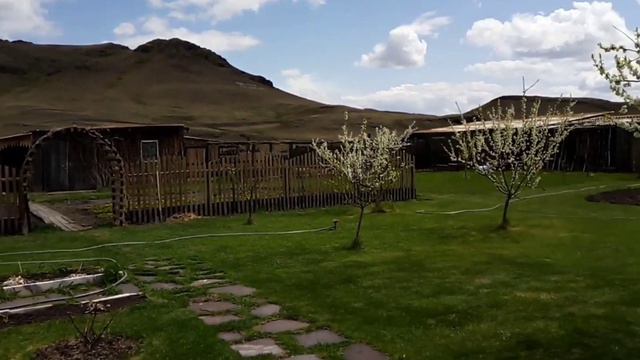 моя весна/летом не пахнет смотреть онлайн